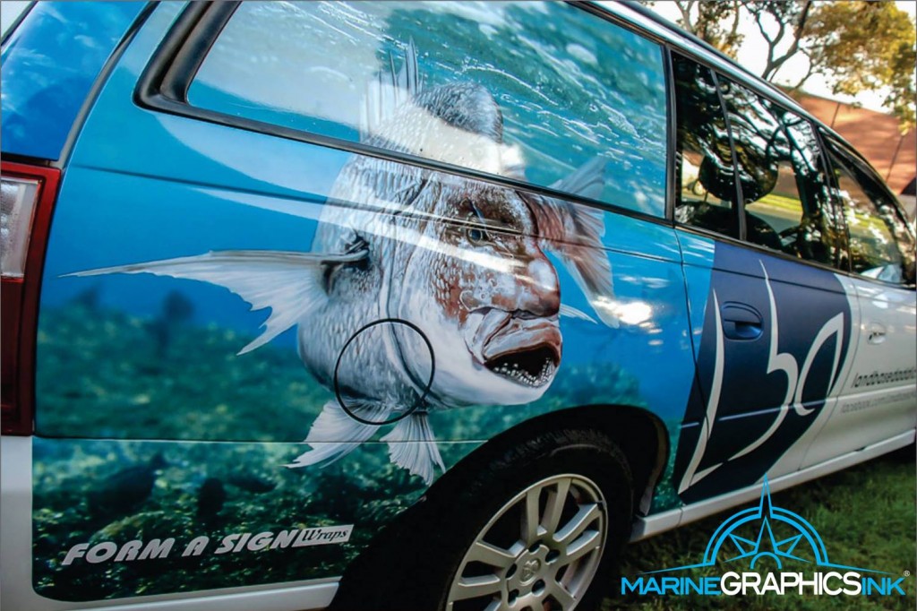 snapper car wrap