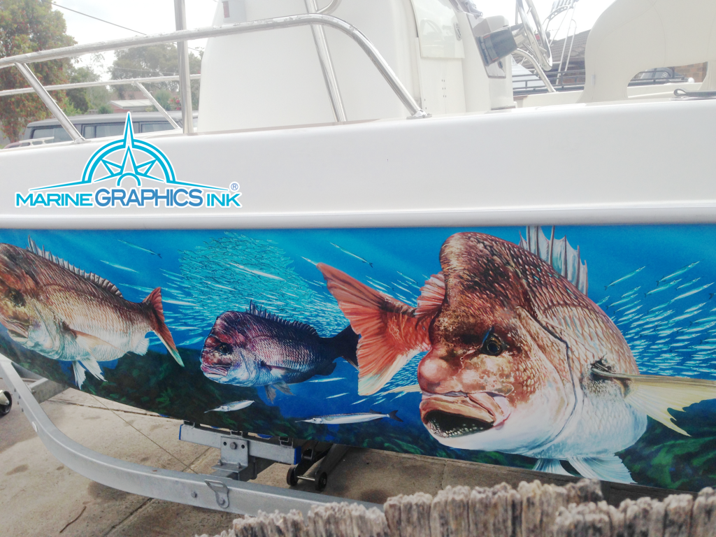 snapper
